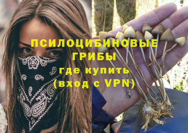 прущий лед Дмитров