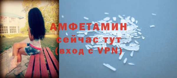 хмурый Гусь-Хрустальный