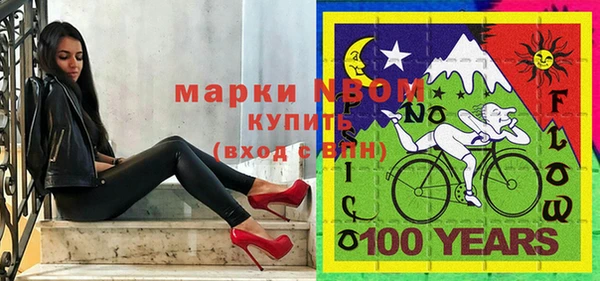 хмурый Гусь-Хрустальный