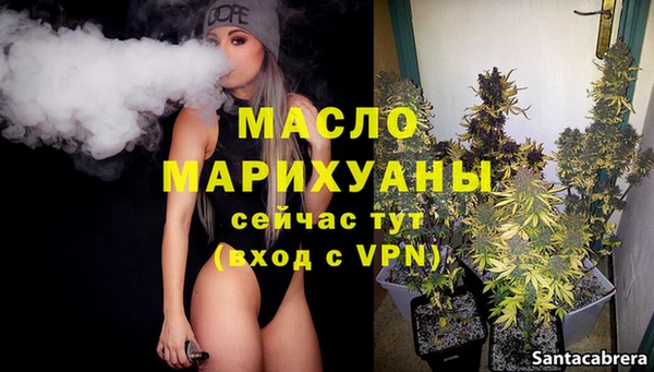 хмурый Гусь-Хрустальный