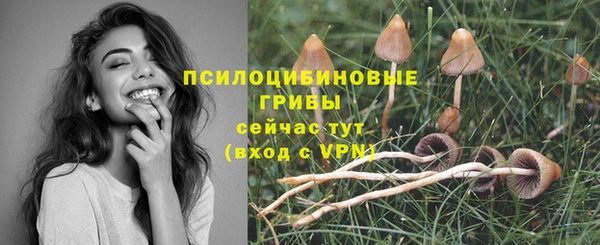 хмурый Гусь-Хрустальный