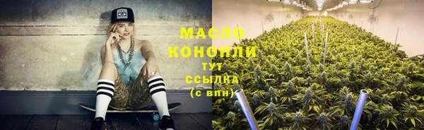 хмурый Гусь-Хрустальный