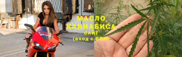 хмурый Гусь-Хрустальный